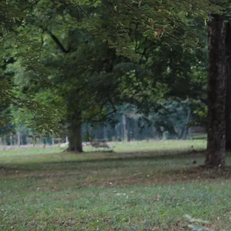 Maison De Charme Calme Entouree De Montagne Ussat