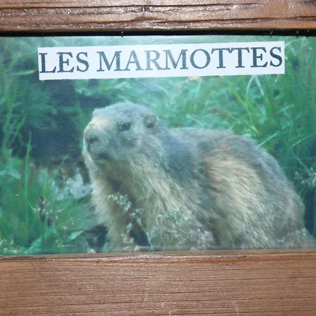 بيت للعطل Maison De Charme Calme Entouree De Montagne Ussat